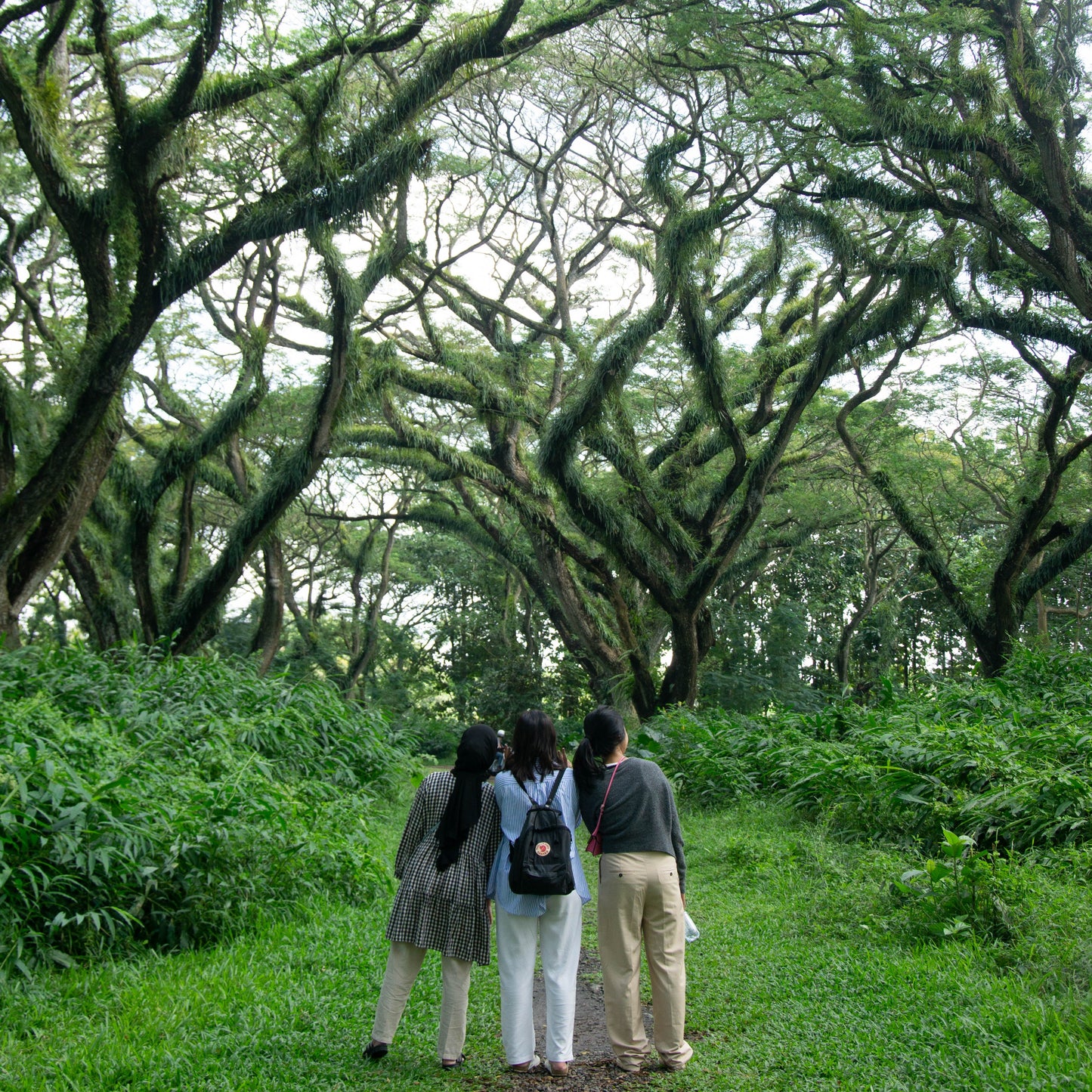 [PRIVATE TRIP] Banyuwangi Day Trip C: Djawatan Forest and Pulau Merah