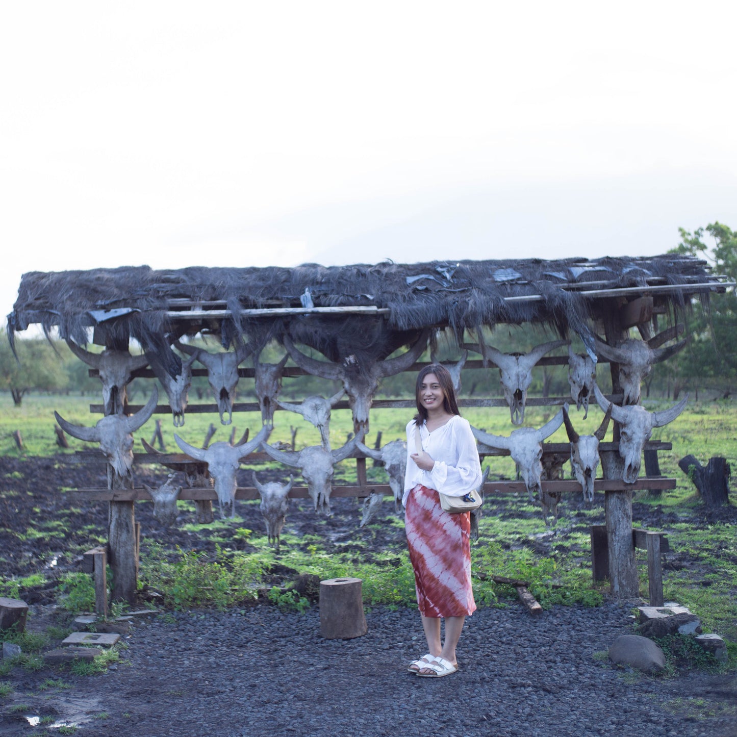 [PRIVATE TRIP] Banyuwangi Day Trip D: Baluran National Park, Bama Beach