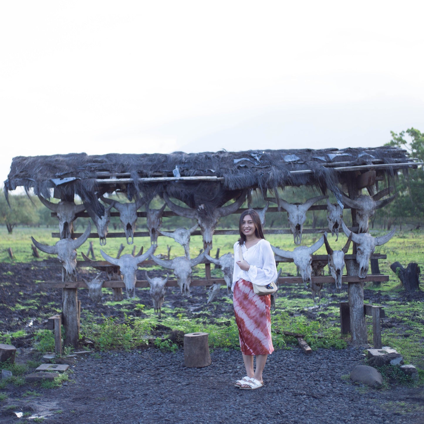 [PRIVATE TRIP] Banyuwangi Day Trip F: Ijen Crater and Baluran National Park