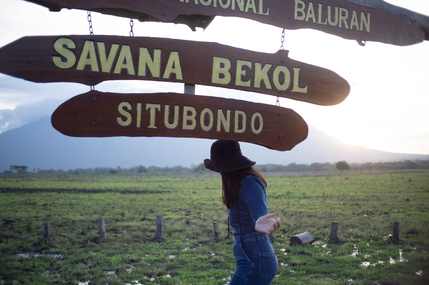 [PRIVATE TRIP] Banyuwangi Day Trip D: Baluran National Park, Bama Beach