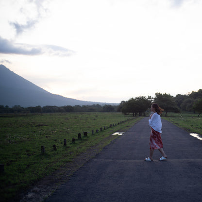 [PRIVATE TRIP] Banyuwangi Day Trip D: Baluran National Park, Bama Beach