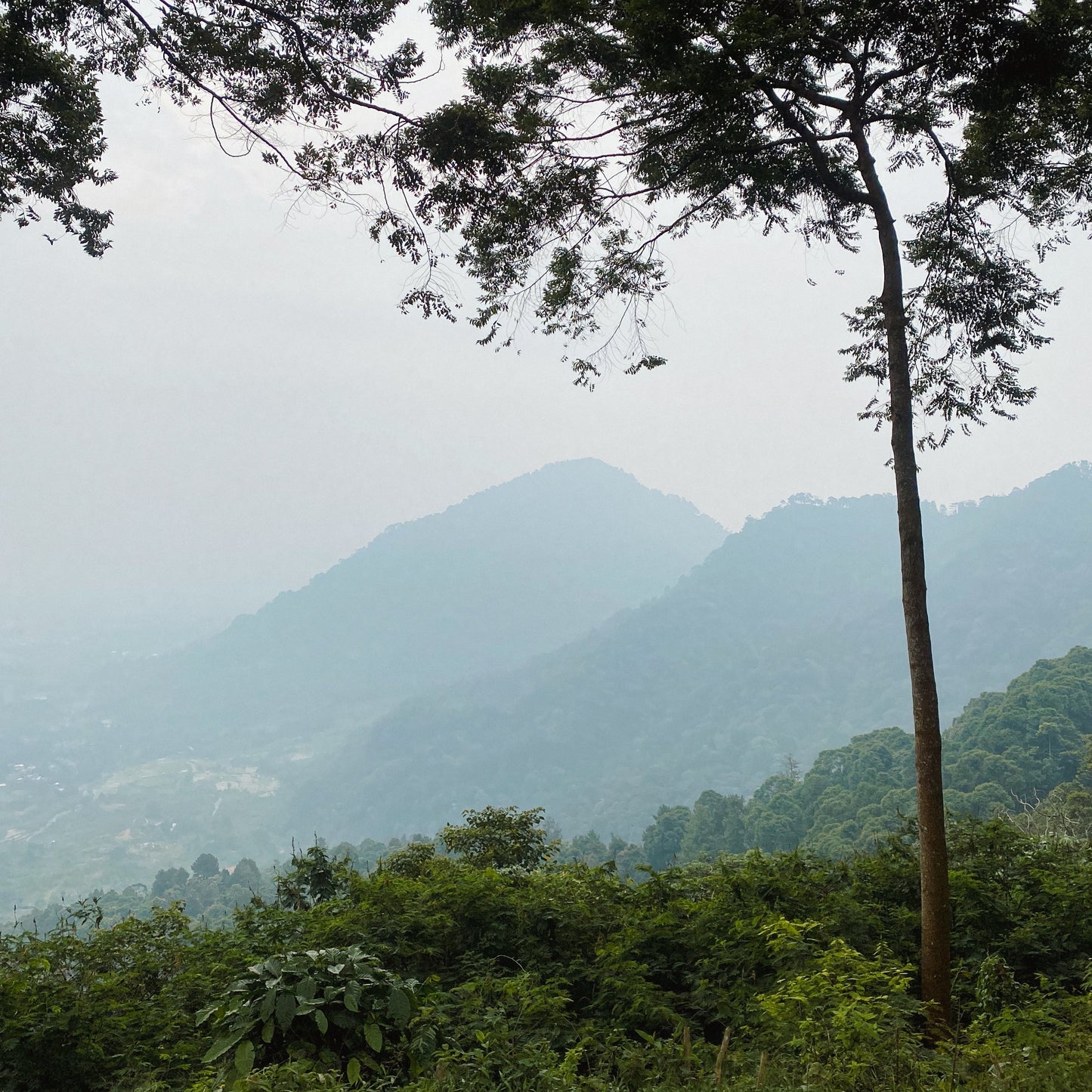 [PRIVATE TRIP] Bukit Daolong Sentul Trekking Via Cibingbin