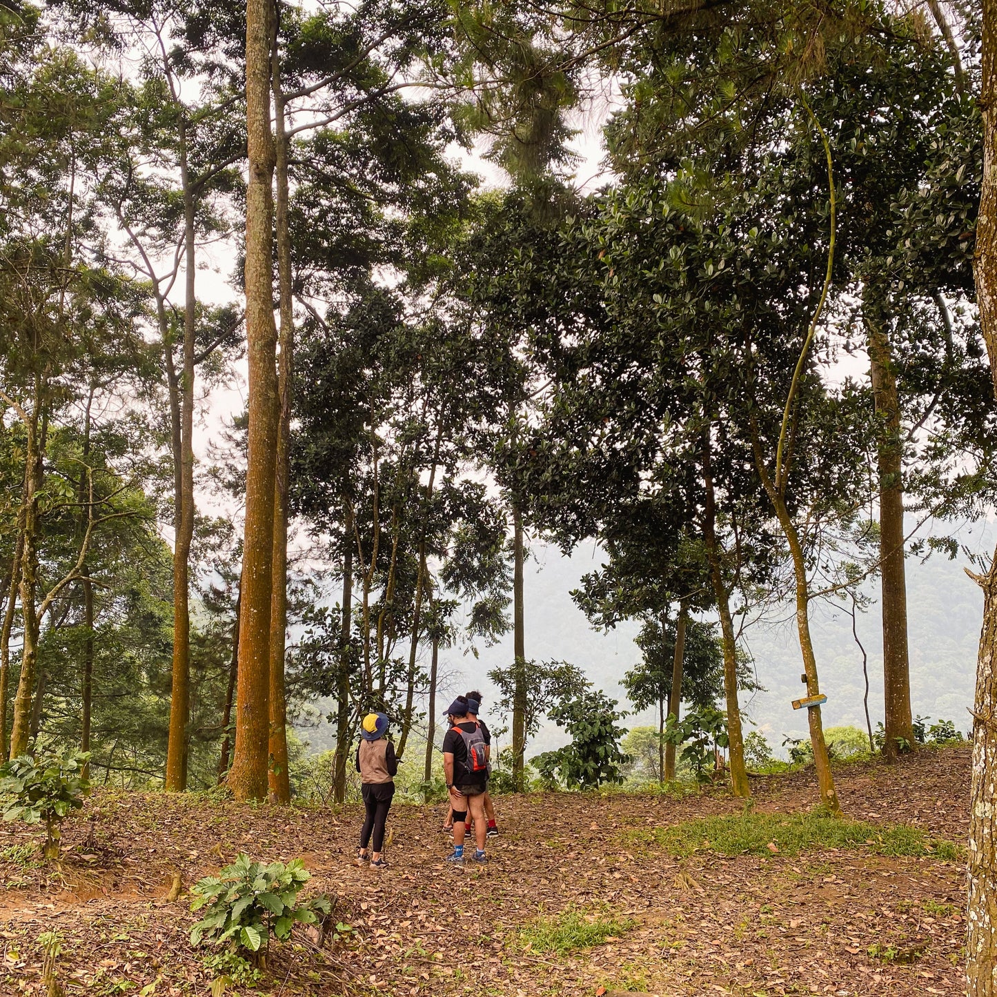 [PRIVATE TRIP] Bukit Daolong Sentul Trekking Via Cibingbin