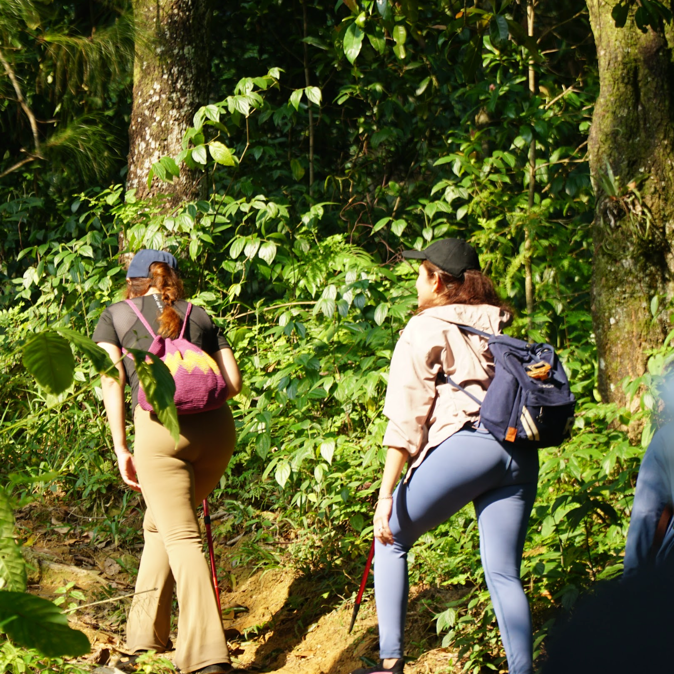 [OPEN TRIP] Bukit Daolong Sentul Trekking Via Cibingbin 1D
