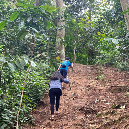 [OPEN TRIP] Bukit Daolong Sentul Trekking Via Cibingbin 1D