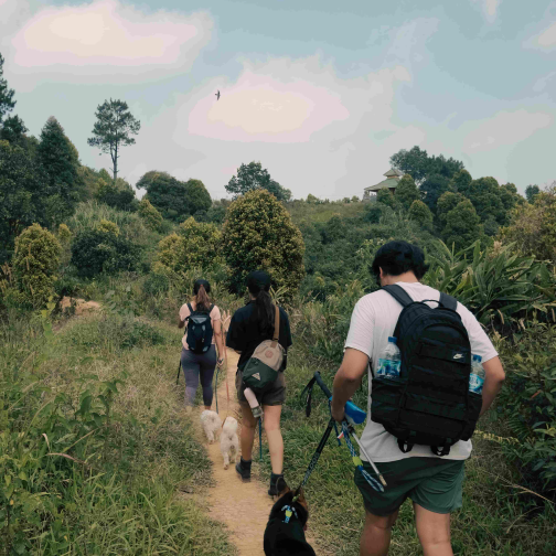 [OPEN TRIP] Paniisan Hill Trekking 1D